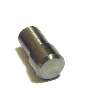 Pin Trunnion Clutch Fork 100164