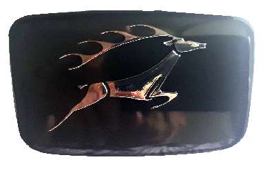 Front Grill or Grille Badge Insert Black 725764B